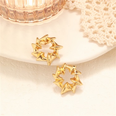 18k Gold Plated Stainless Steel Irregular Earring