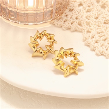 18k Gold Plated Stainless Steel Irregular Earring
